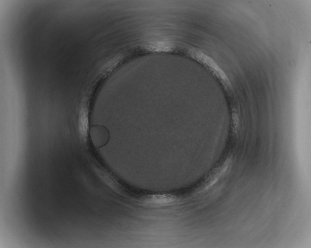 X0000102290541200808081525