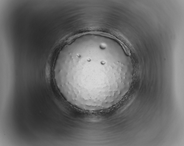 X0000102290542200808081525