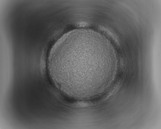 X0000102290545200808081525