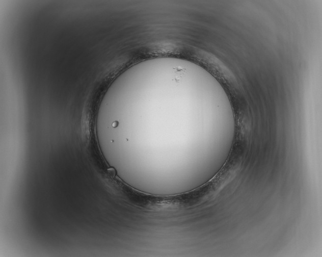 X0000102290546200808081525