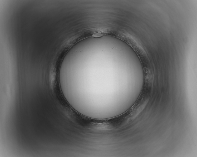 X0000102290548200808081525