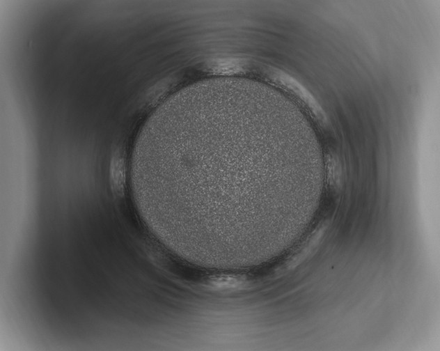 X0000102290549200808081525