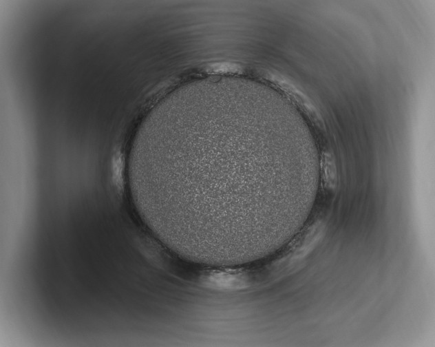 X0000102290550200808081525