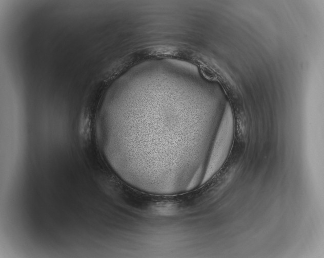 X0000102290551200808081525