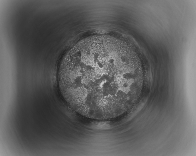 X0000102290553200808081525