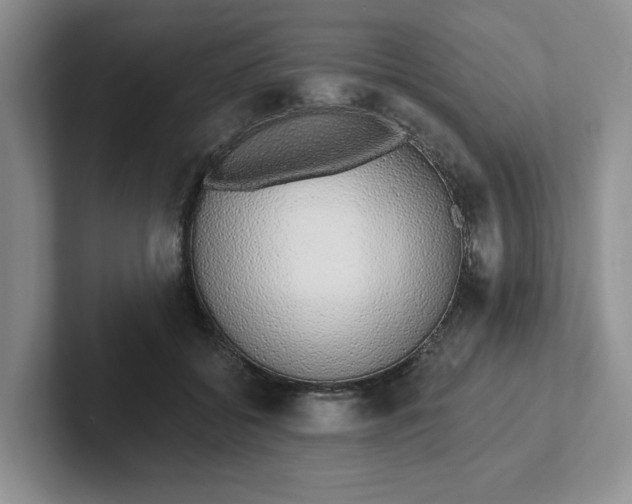 X0000102290556200808081525