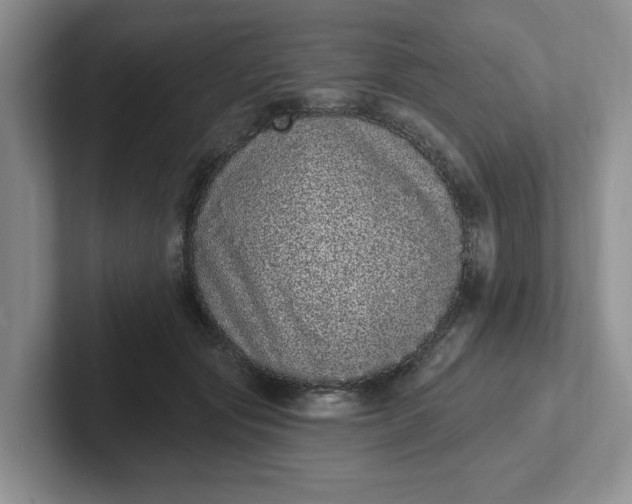 X0000102290557200808081525