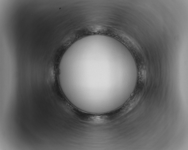 X0000102290558200808081525