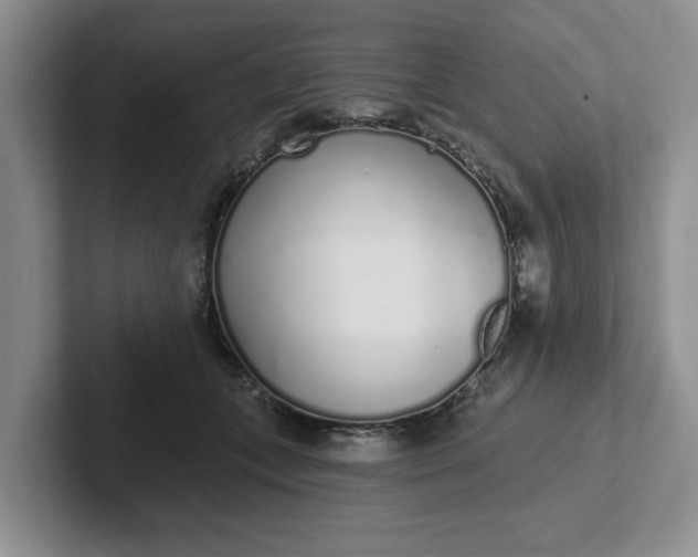 X0000102290559200808081525