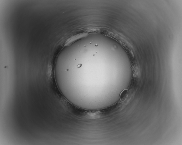 X0000102290560200808081525