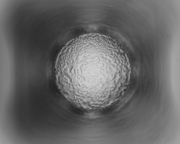 X0000102290561200808081525