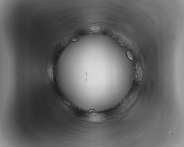 X0000102290562200808081525