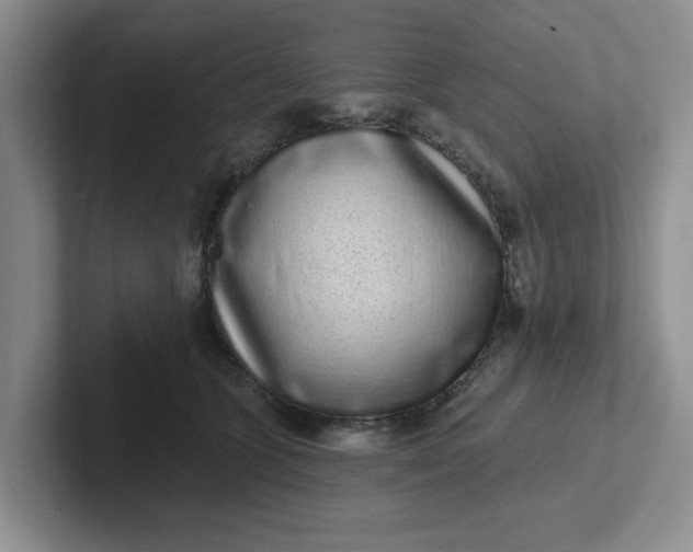 X0000102290563200808081525