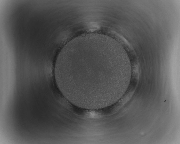 X0000102290565200808081525