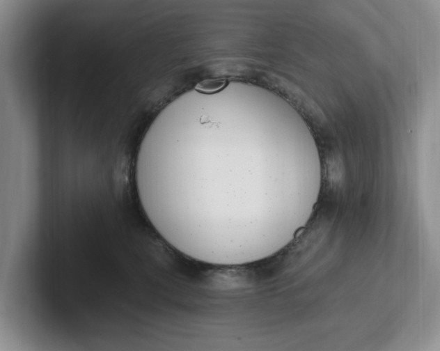 X0000102290567200808081525