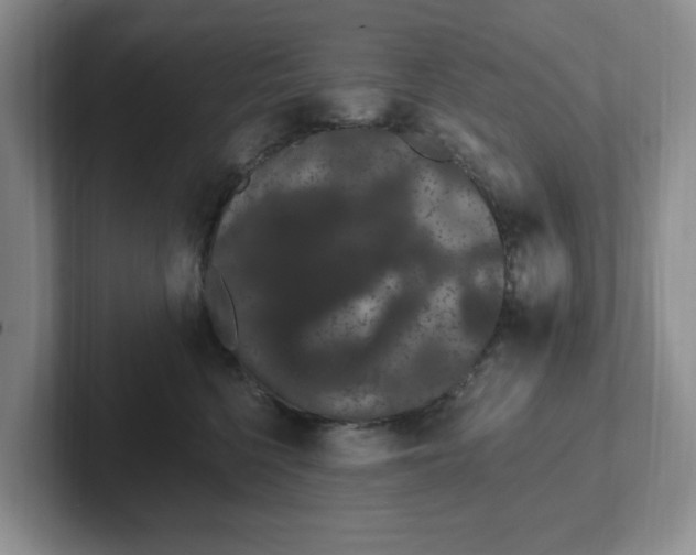 X0000102290568200808081525