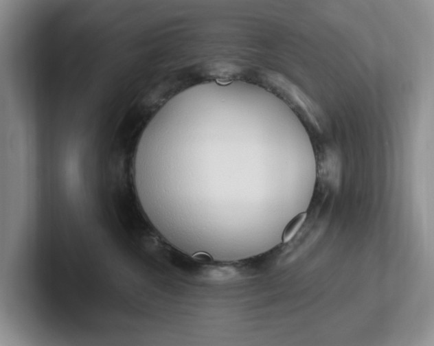 X0000102290572200808081525