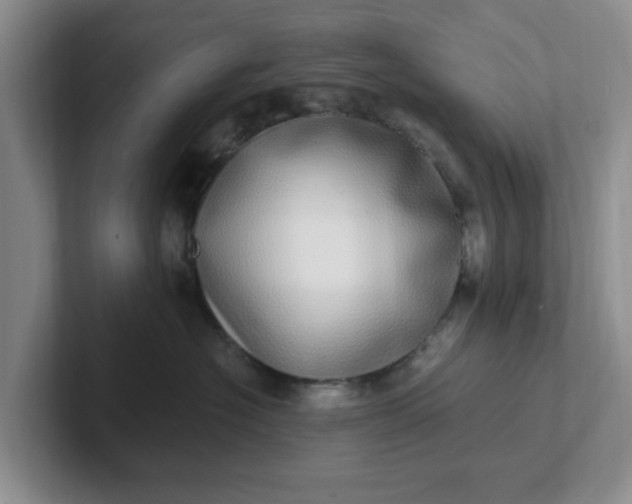 X0000102290574200808081525