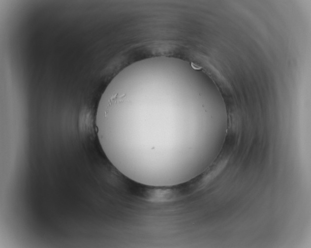 X0000102290575200808081525