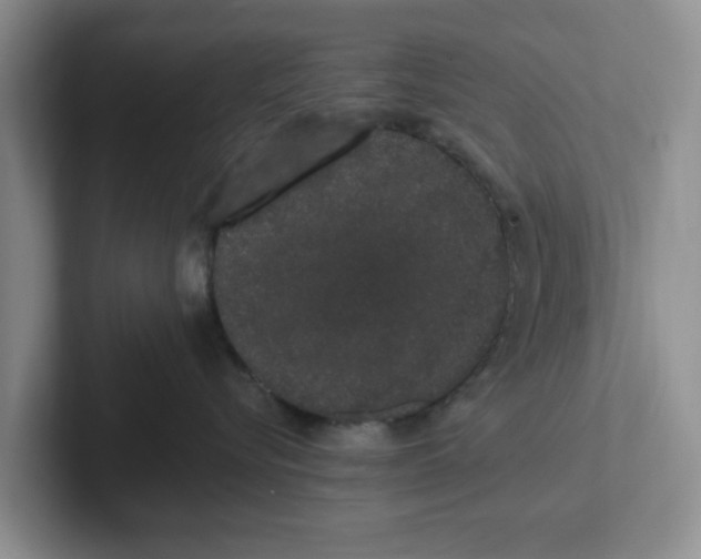 X0000102290576200808081525