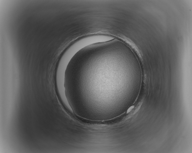 X0000102290577200808081525