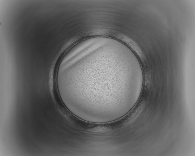 X0000102290578200808081525