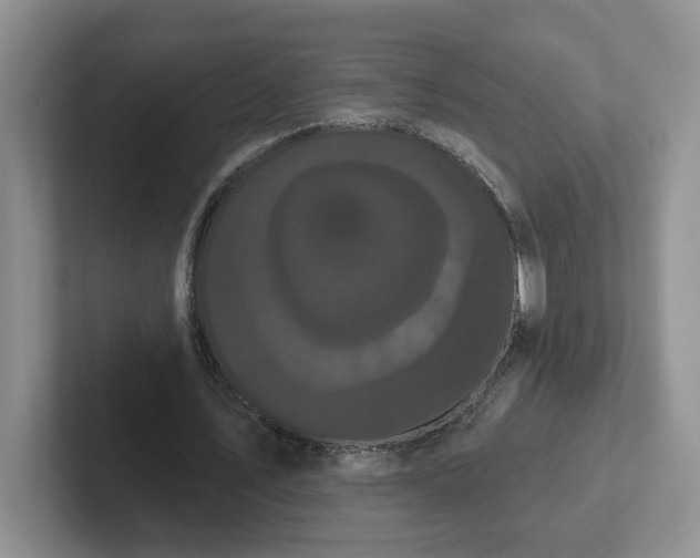 X0000102290579200808081525