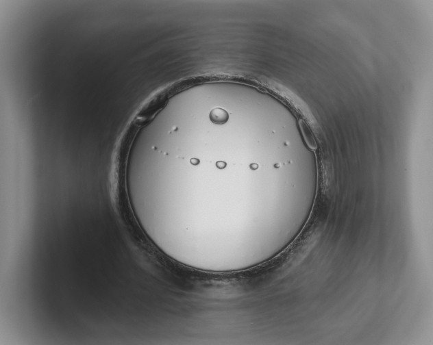 X0000102290580200808081525