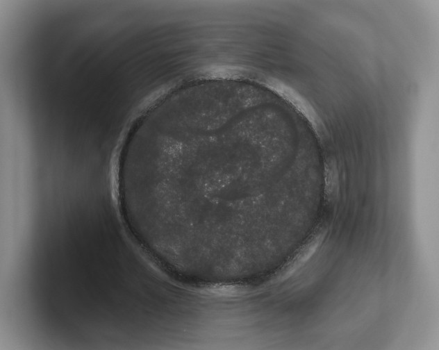 X0000102290581200808081525