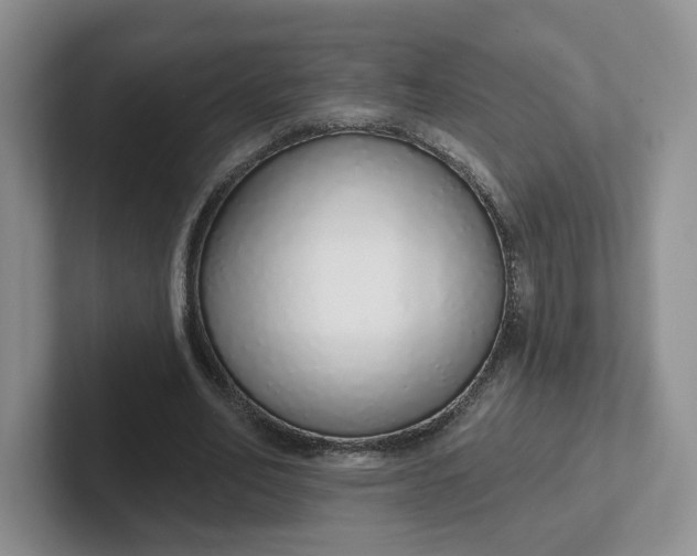 X0000102290582200808081525