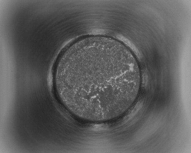 X0000102290584200808081525