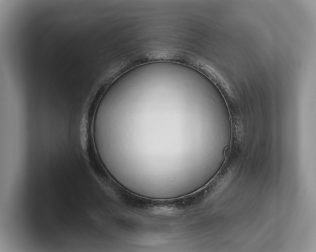 X0000102290586200808081524