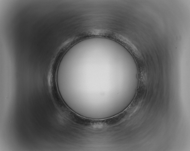 X0000102290587200808081524