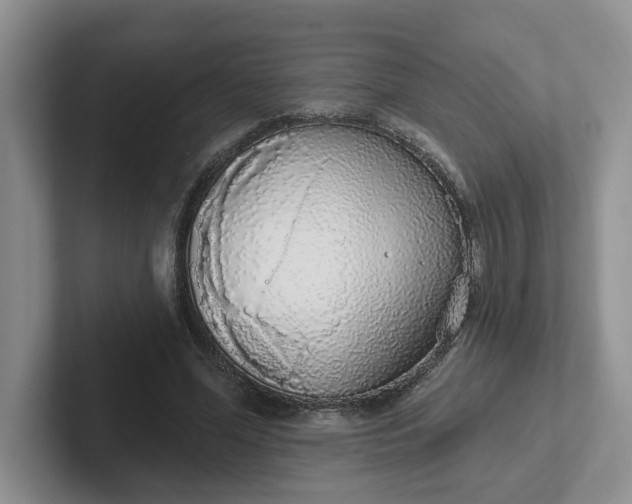 X0000102290588200808081524