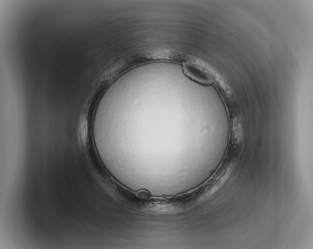 X0000102290589200808081524