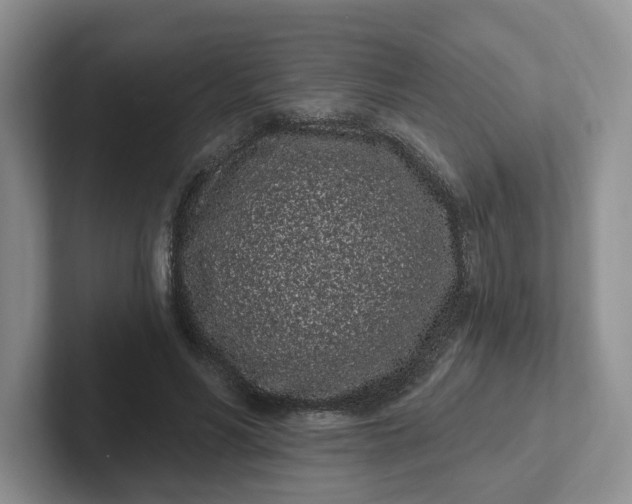 X0000102290590200808081524