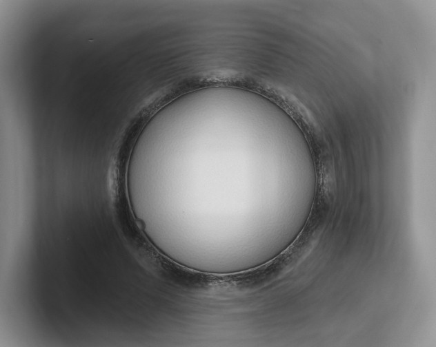 X0000102290591200808081524