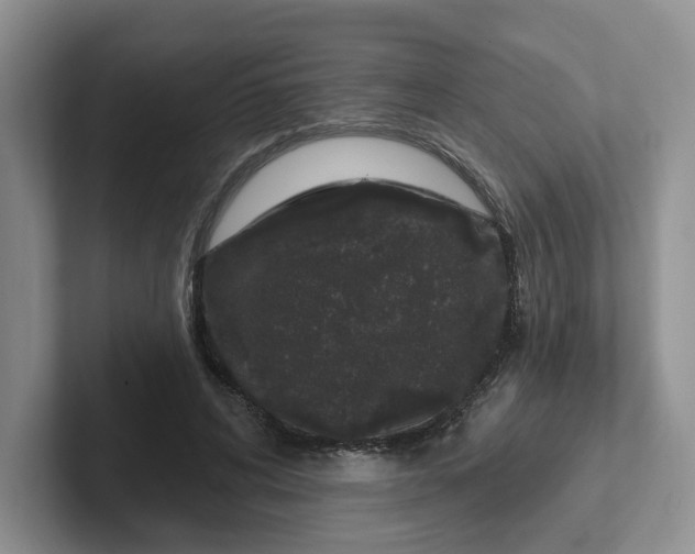 X0000102290592200808081524