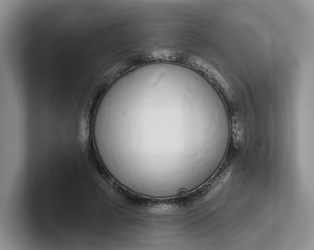 X0000102290593200808081524