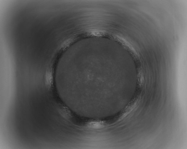 X0000102290595200808081524