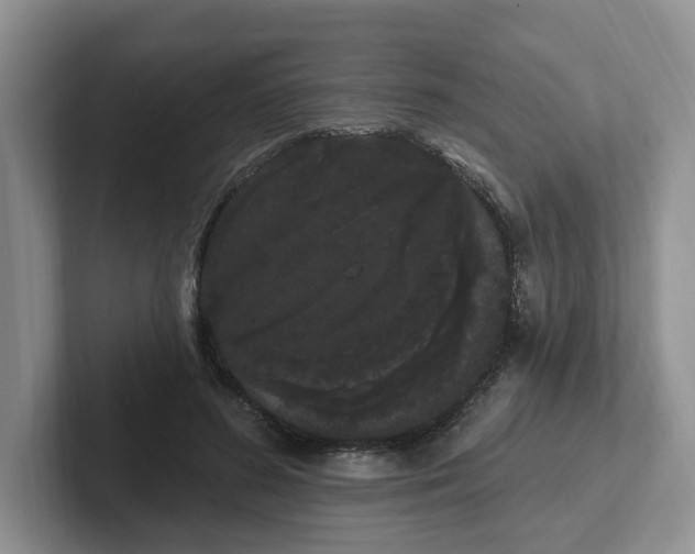 X0000102290596200808081524