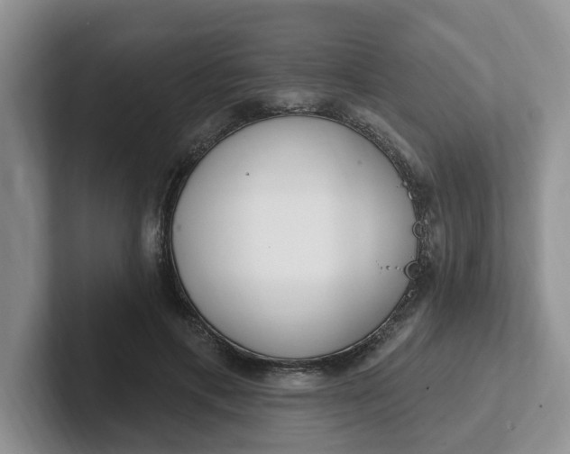 X0000102290597200808081524