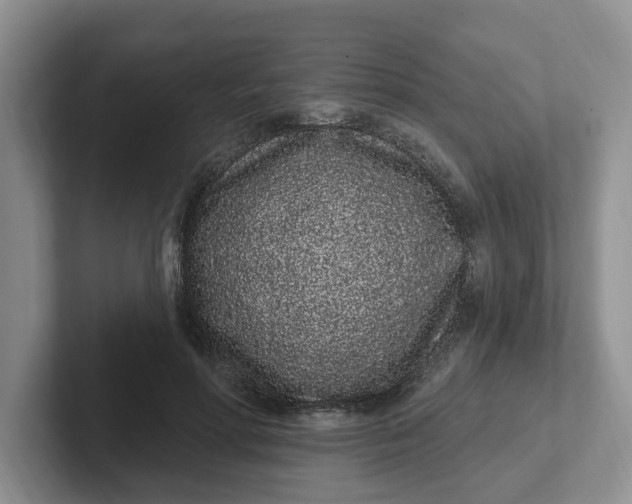 X0000102290598200808081524