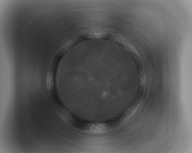 X0000102290599200808081524