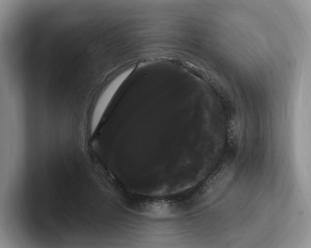 X0000102290600200808081524