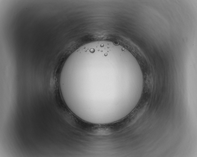 X0000102290601200808081524