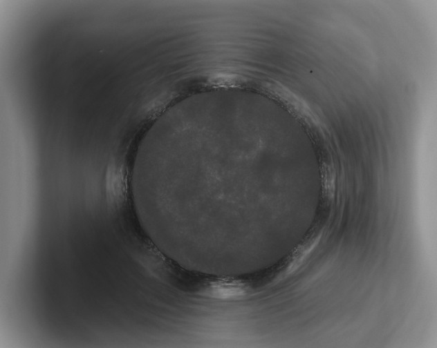 X0000102290603200808081524