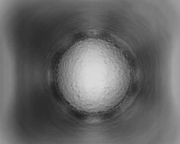 X0000102290606200808081524