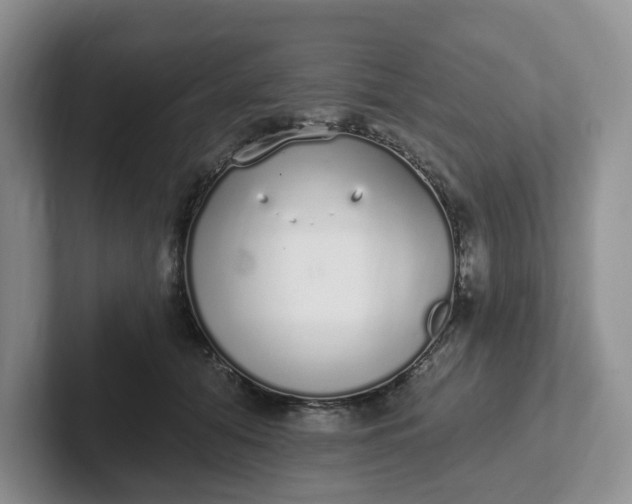 X0000102290608200808081524