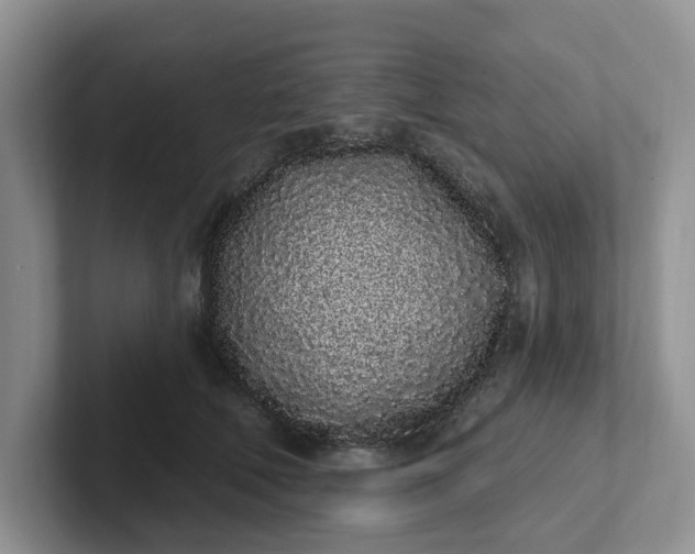 X0000102290610200808081524